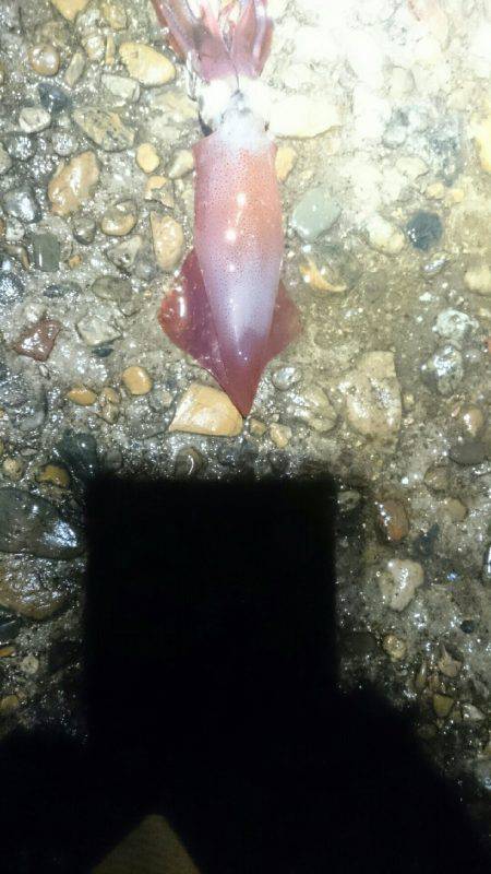 やはり雨の日は人が少ない