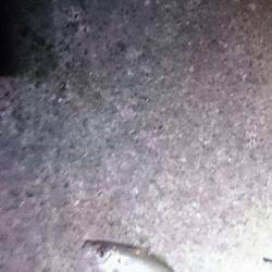 台風後は惨敗。