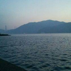 エギング初心者