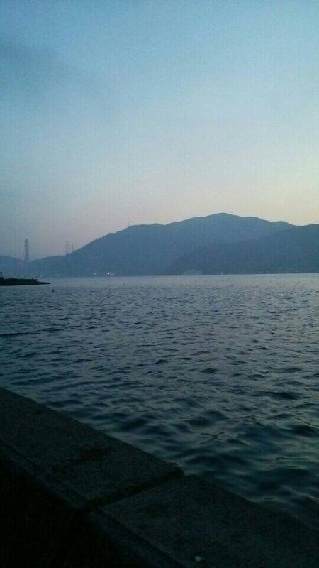 エギング初心者