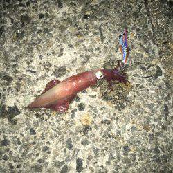 風が強くて難しい