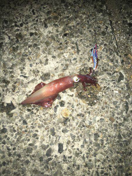 風が強くて難しい