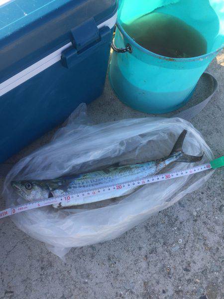 爆風爆波(^_^;)だけど入れパク( ^ω…