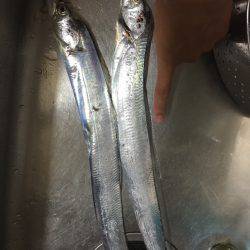 マリンピア沖洲でてんや