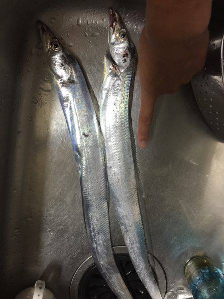 マリンピア沖洲でてんや