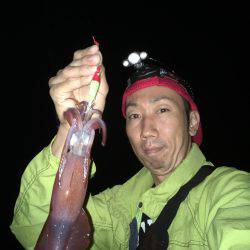 ケンサキイカゲーム♪