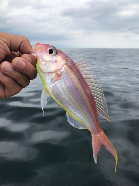 伊東でボート！