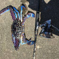 ULSJ！のはずが…