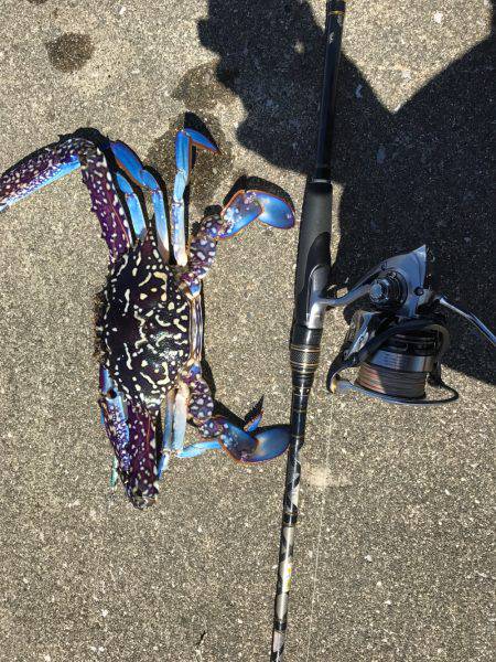 ULSJ！のはずが...