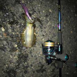 リハビリエギング