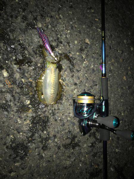 リハビリエギング