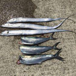 余裕をもって 参りましょう