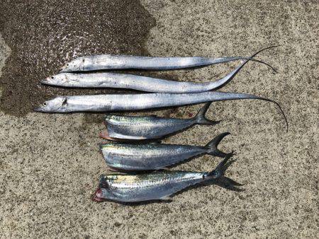 余裕をもって 参りましょう