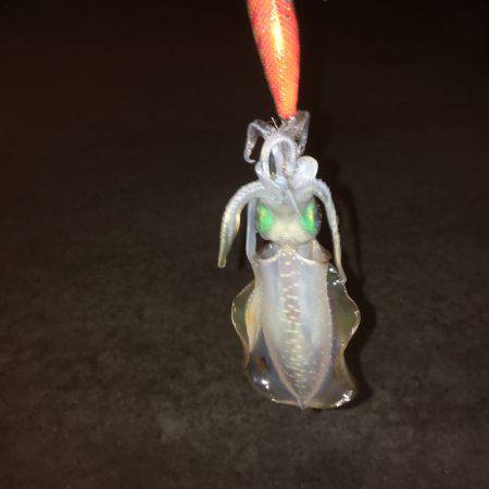 エギング アオリ コウイカ