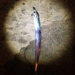 タチウオより人人人