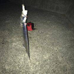 朝マヅメ釣行③