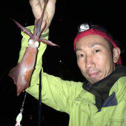 夜中ケンサキイカゲーム