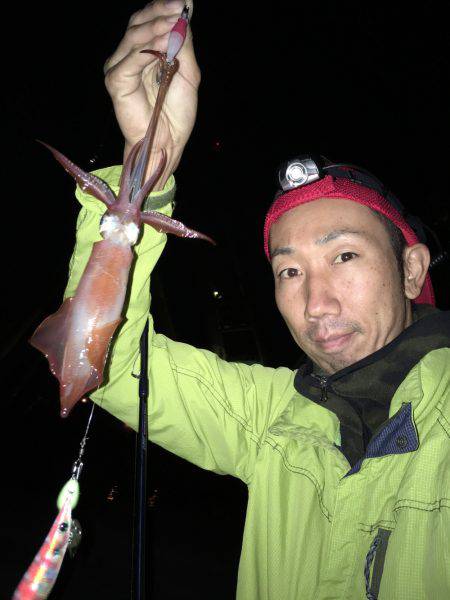 夜中ケンサキイカゲーム