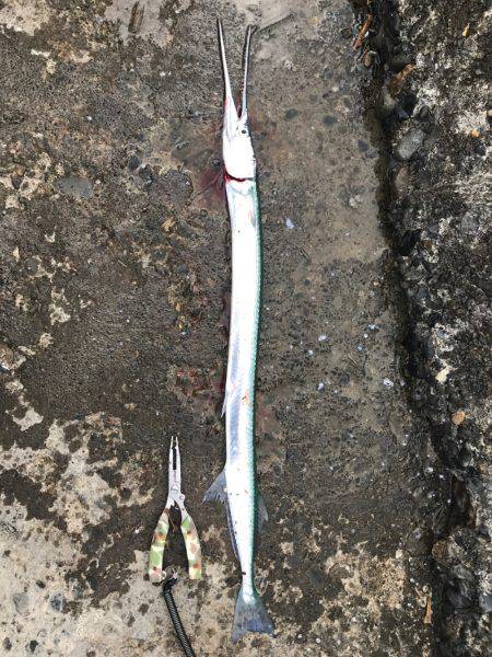 ショアジギングのちアジング