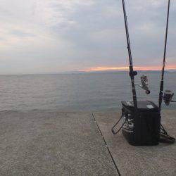 淡路島タチウオ・青物釣行