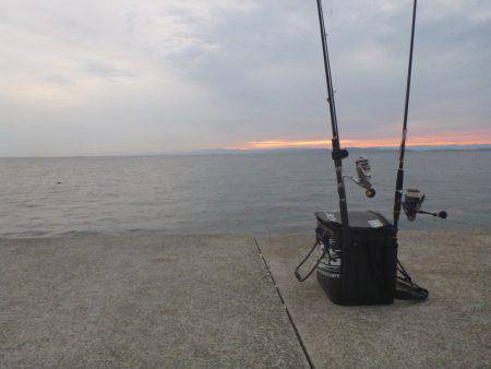淡路島タチウオ・青物釣行
