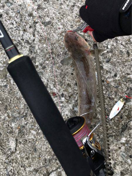 キビシイ・・・