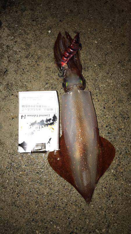 雨が降ってても