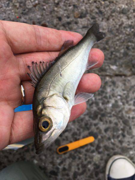 夜勤終わりに来ちゃいました！笑