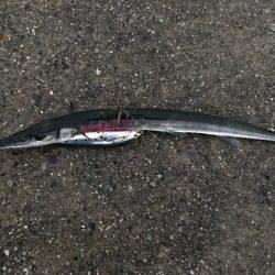 ヒットパターン