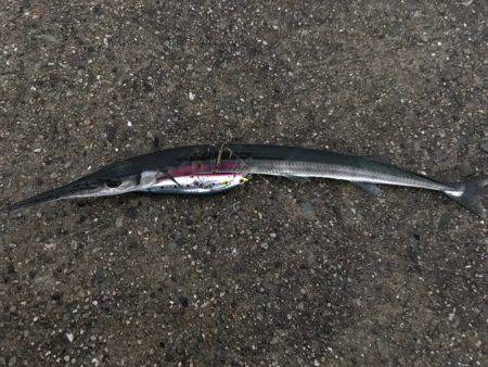 ヒットパターン