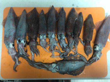 雨が降ったり止んだり、、、