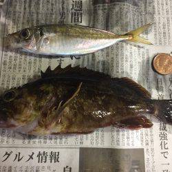 太刀魚釣り