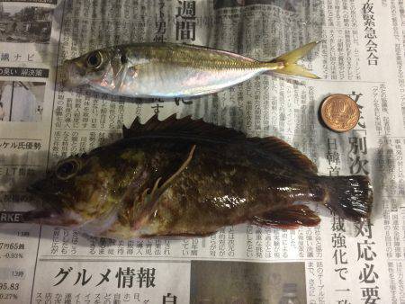 太刀魚釣り