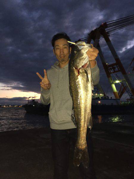 ケンサキイカ☆マイカゲームからシーバス☆ツ…