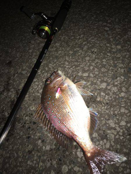 メバリングでまさかの