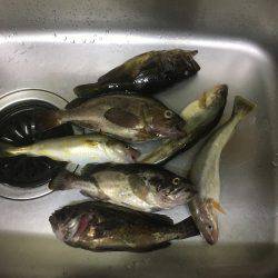 オホーツクロック！