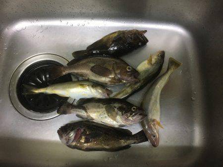 オホーツクロック！