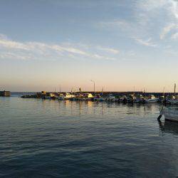 9月の海上釣堀オーパ!!