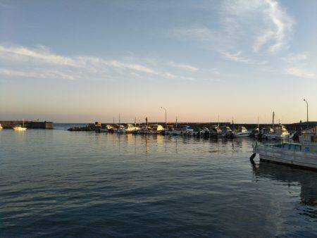 9月の海上釣堀オーパ!!