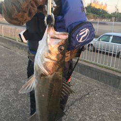 初めてのシーバス釣り