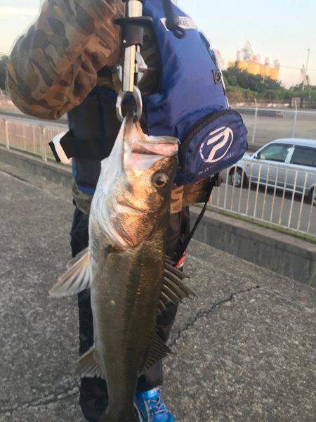 初めてのシーバス釣り