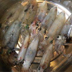 ケンサキ＆新子