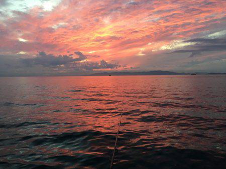 サゴシとカマスとタチウオと