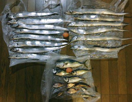 今年初めてのタチウオ釣り