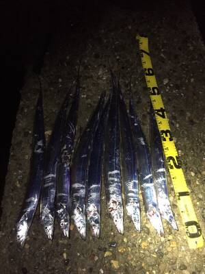 回ってきました