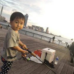 子供とガシラ釣り