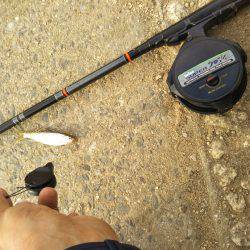 テナガエビ調査のはずがハゼ釣り