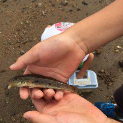 一家でハゼクラ