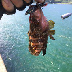 昨日は酷かった・・・今日は・・・