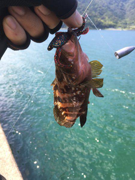 昨日は酷かった・・・今日は・・・